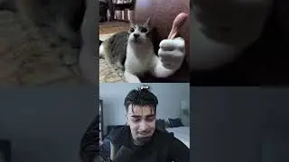 Ранжирование комнат моих подписчиков