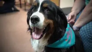 Feel the Love Moment - Pet Outreach - Presented by Subaru of Santa Fe