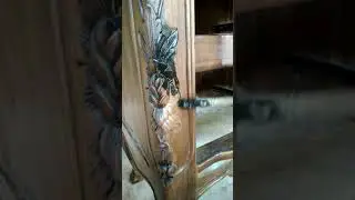 Tutorial pengecatan antik pada ukiran kayu