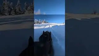 BC SLEDDING DAY 10 pt7: PLAYING IN THE HILLS #polaris #skidoo #snowmobile #revelstoke #snow