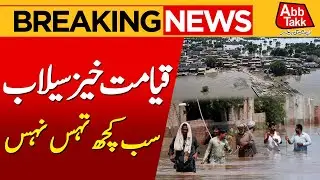 PDMA Punjab Flood Report | Pakistan Floods 2025 | Massive Destruction | Breaking News | Abbtakk