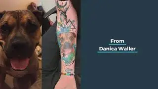Dog Tattoos - Veterinary Video