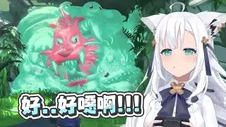 【星之卡比 探索發現】