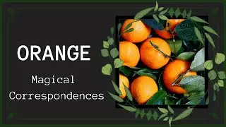 Orange Correspondences & Uses In Magical Practice |  Witchcraft