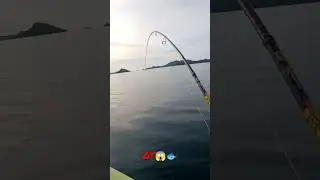 GIANT TREVALLY 😱🐟 #fishing #trending #angler #vlogger #shorts #short #viral #trend #viralvideo