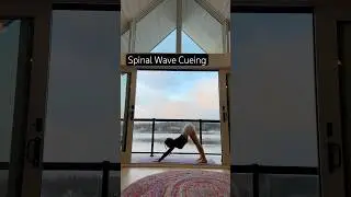 Cueing Spinal Waves | Yoga Flow