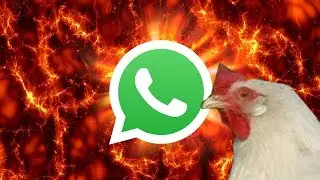 HorrorHuhn HACKT WHATSAPP !!!
