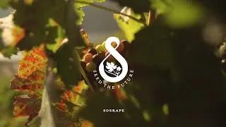 Sustainability is part of our history
