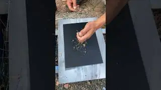 Diy nature stencil spray art #art #stencil