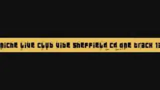 Niche Live Club Vibe Sheffield Cd One Track Thirteen