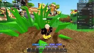 3k Win Roblox Bedwars