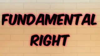 Fundamental Rights | Political Science Top Question Asked In Jamia and AMU 2020