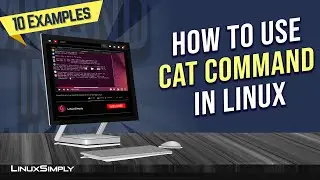 How to Use “cat” Command in Linux [10 Practical Examples] | LinuxSimply