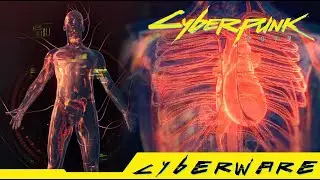 Cyberpunk 2077 - Where can you get Visual Cortex Support Legendary Cyberware
