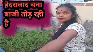 Morning shift duty #Vlogs  #Hyderabad  #vlogvideo  #@ranisinghoffcial980 