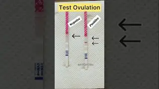 Testing ovulation #babygrowth #baby #pregnancy #conceive #ovulationtips