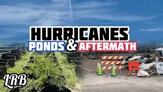 Hurricane Helene Vlog Was Milton Manipulated?  Fish Tub Updates and More!