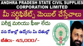 ఆంధ్ర ప్రదేశ్ రాష్ట్ర పౌరసరఫరాల శాఖ లో ఉద్యోగాలు |AP civil supplies recruitment 2021 | AndhraTV|jobs