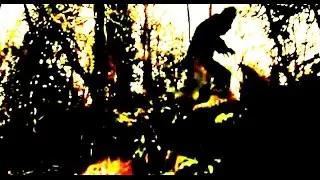 The Ape like Beast of Brassknocker Hill Bath UK July 1979 (UK Bigfoot Research)