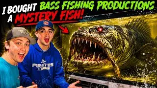 I Bought Bass Fishing Productions a Mystery Fish!