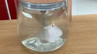  don&rsquo;t start this world warRrRrR: vortex simulation 