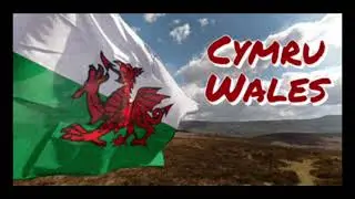 Racist Flagshaggers #senedd #mayelections #separatists  