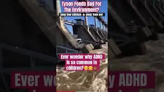 Tyson Food Products Bad For The Environment?