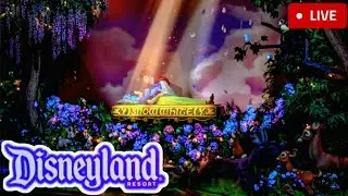 #LIVE Disneyland Chill Weekday Trip, Rides, Characters, New Merch
