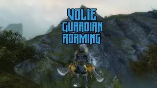 Guild Wars 2 - Volie [vT] Guardian WvW Roaming Vol. #22