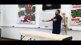 5 групп мышц, которые участвуют в любом движении! #прикладнаякинезиология#кинезиомассаж#массаж