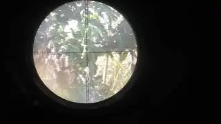 Tes akurasi laras octagon
