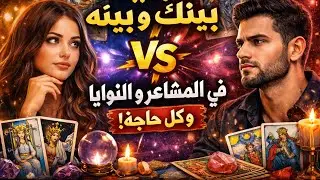 مقارنة صادمة في المشاعر 🔥 أنت ولا الحبيب؟ مين صادق ومين متردد؟ قراءة تاروت مفصلة #تاروت #tarot #تارو