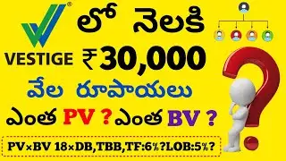 Vestige Telugu, vestige business plan in Telugu,DB bonus,TBB bonus,TF bonus,LOB bonus,? in Telugu.