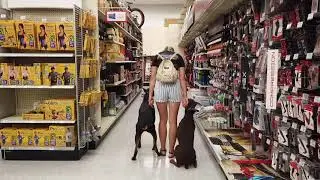 4 & 6 Year Old Doberman's | Best Doberman Dog Training | Off Leash K9 | Board and Train | Oklahoma