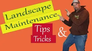 Landscaping For Beginners / Maintenance Tips