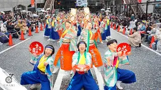 【8K】七福よさこい連祝禧『大盤振舞』（町田夢舞生ッスイ祭 2025）
