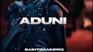 ADUNI | Burna Boy x Rema x Zinoleesky Type Beat (Emotional Afrobeat Instrumental 2026)