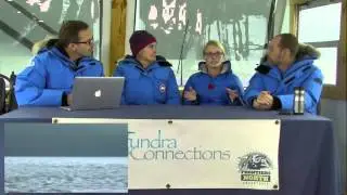 Marine Mammal Conservation & Education