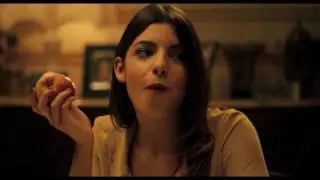 DIFF 2016 - THE TRAVELLER
