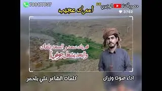 امرك عجيب - اداء صوت وزران - جديد 2025 حصرياً