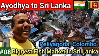 Biggest Fish Market of Sri Lanka🐠 Indian in Sri Lanka 🐠 Peliyagoda wholesale Fish market