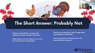 Backyard poultry: To vaccinate or not?