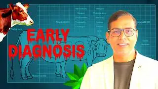 Theileriosis Explained: What You NEED To Know