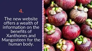 Experience the Benefits of Xanthones with Xanthone Solutions' Mangosteen Supplements!