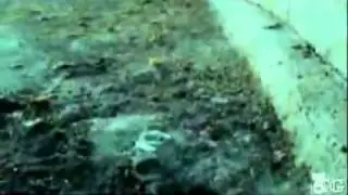 Michael Scofield - Now We Are Free - Tribute.mp4