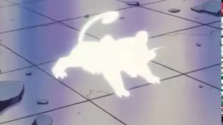 Rattata