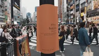 MIOMIR MILIC | MY FIRST VISIT TO JAPAN | TEASER 1