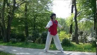 Wushu Jump - Xuan Zi - Butterfly kick