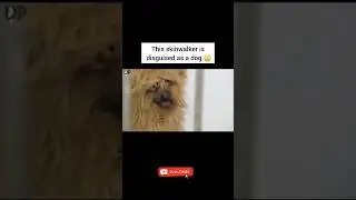 This skinwalker is disguised as a dog.😳 #shorts #justmillionviewsneeded