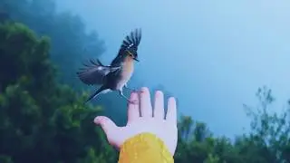 Nomyn - Don't Go